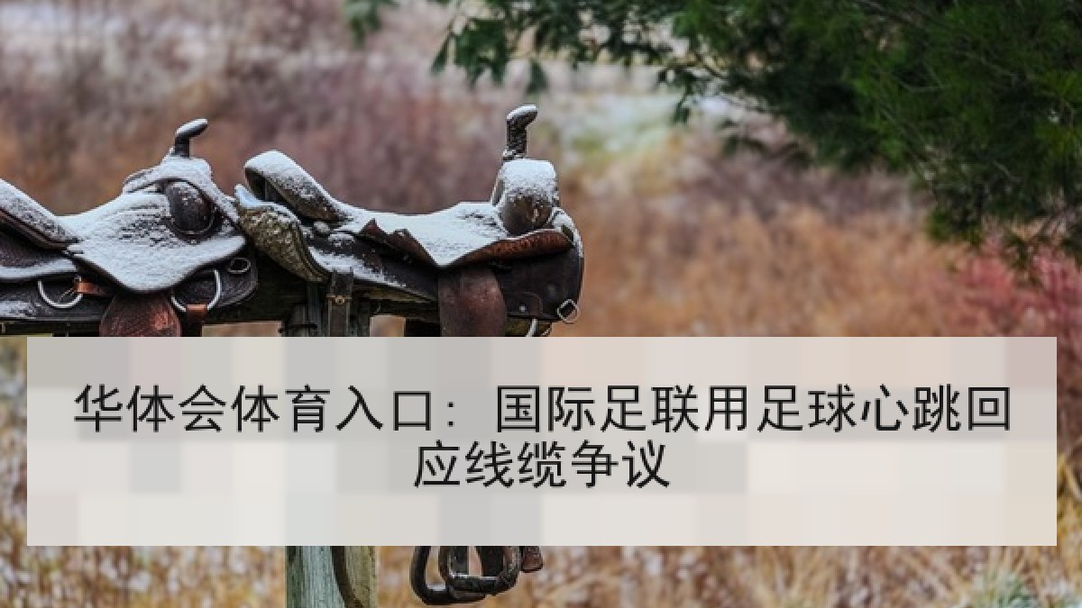 华体会体育入口: 国际足联用足球心跳回应线缆争议