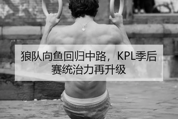 狼队向鱼回归中路，KPL季后赛统治力再升级