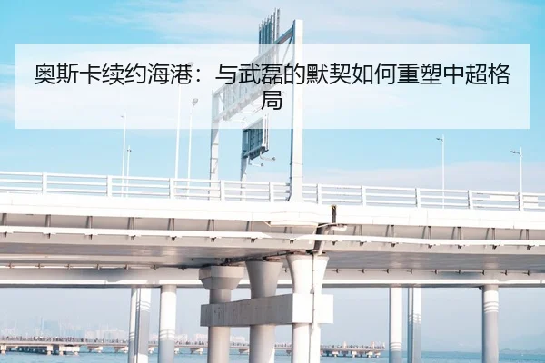 奥斯卡续约海港：与武磊的默契如何重塑中超格局